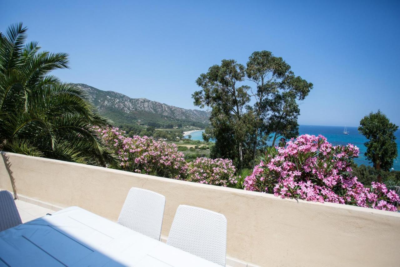 Appartement Terrasse La Citadelle Appartements Saint Florent エクステリア 写真