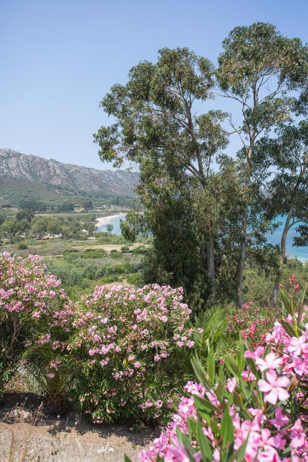 Appartement Terrasse La Citadelle Appartements Saint Florent エクステリア 写真